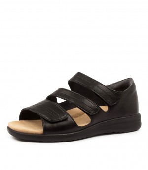 Black / Black Ziera Bardot (Wide) Women Sandals | Z-312946