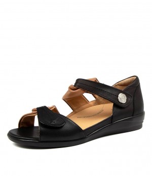 Black / Brown Ziera Doxie (Wide) Women Sandals | Z-857940