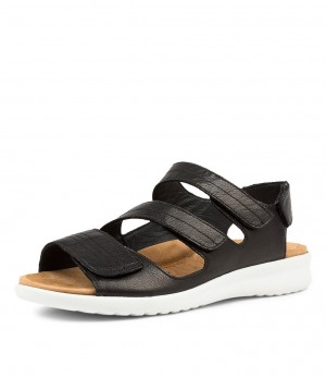 Black / White Ziera Bonny (Wide) Women Sandals | Z-926301