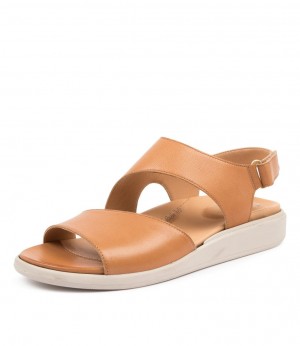 Dark Brown Ziera Igor (Wide) Women Sandals | Z-097146